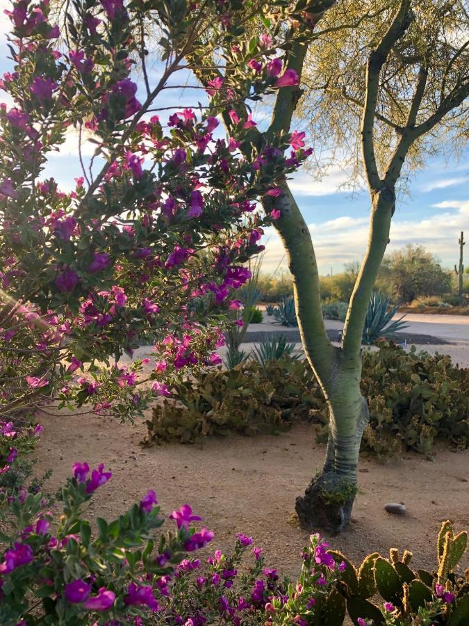 Ferienwohnung Private, Quite Casita , N. Scottsdale Area,Private Pool & Patio, Cave Creek Az. Exterior foto